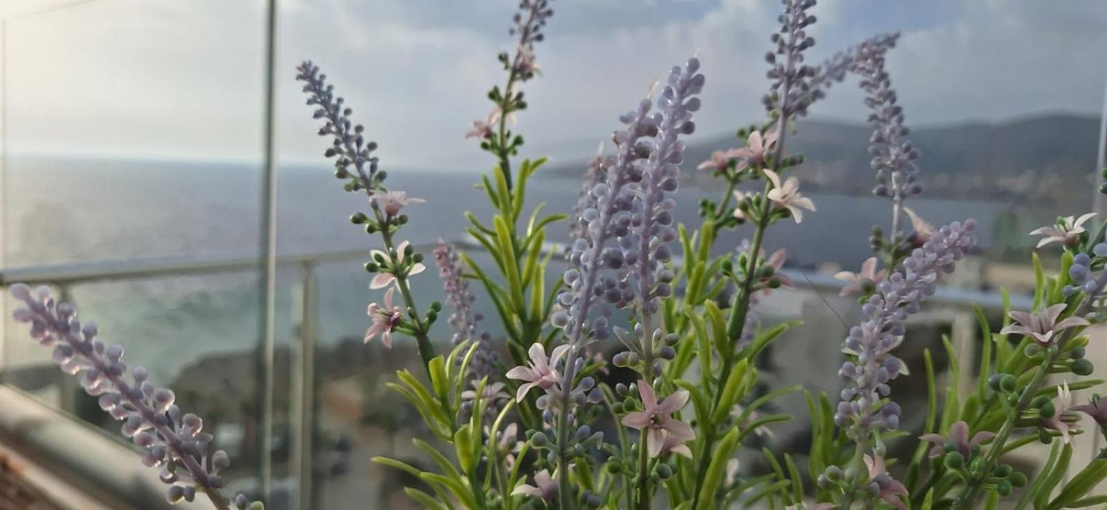 Apartamento Sadet's Penthouse